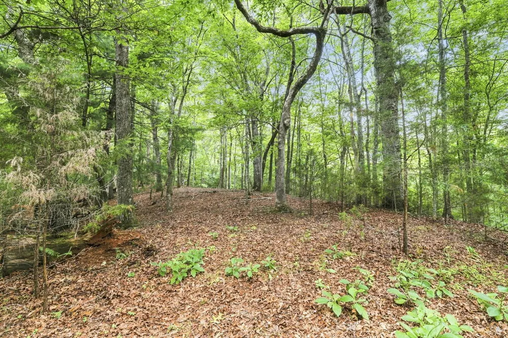 Willow Wind Heights Franklin, NC 28734