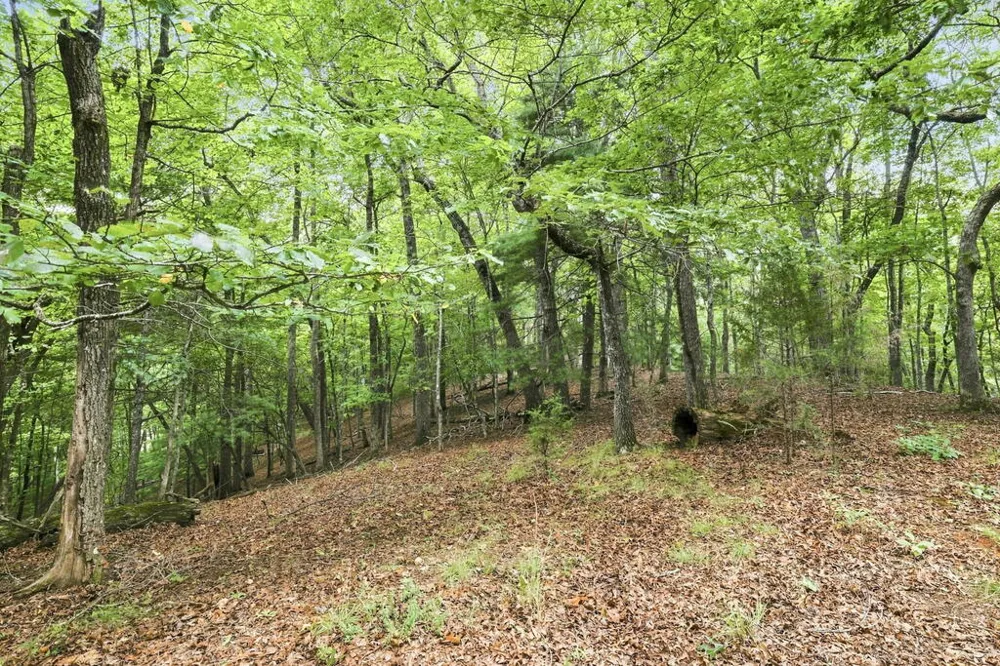 Willow Wind Heights Franklin, NC 28734