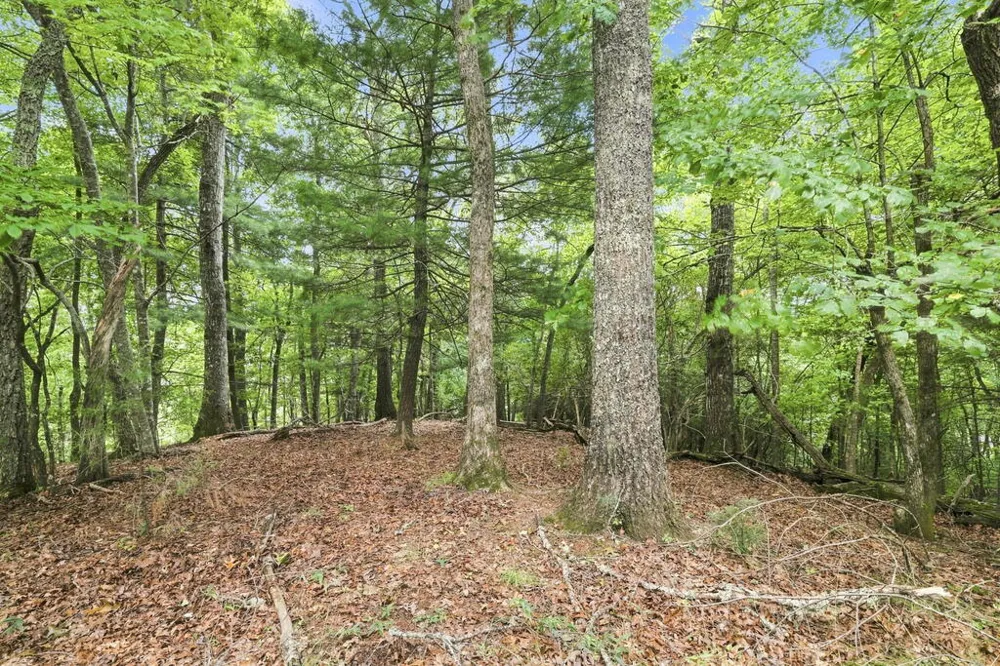 Willow Wind Heights Franklin, NC 28734