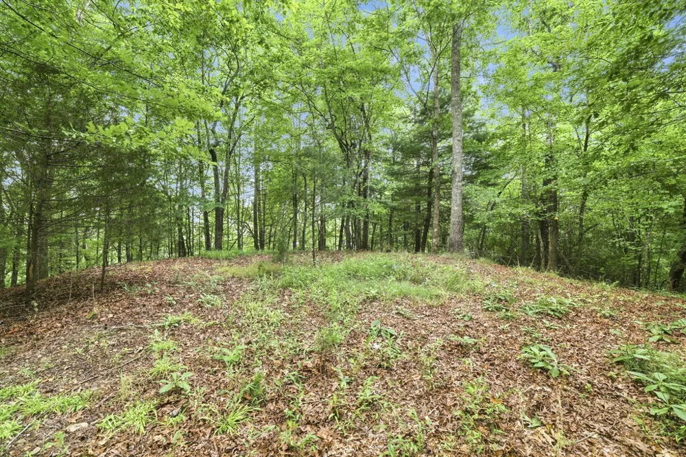 Willow Wind Heights Franklin, NC 28734