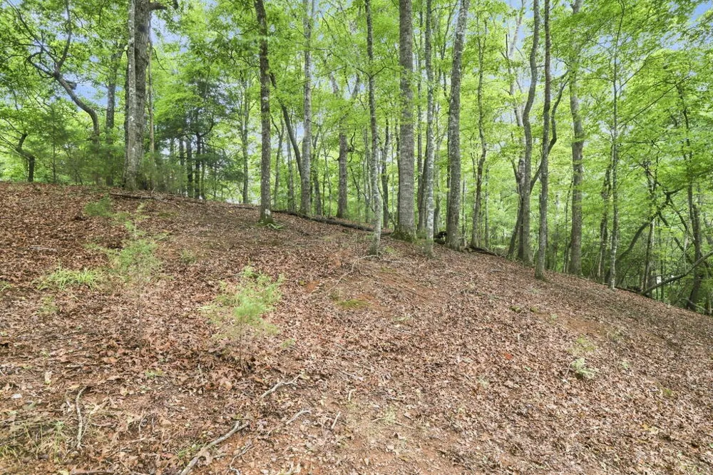 Willow Wind Heights Franklin, NC 28734