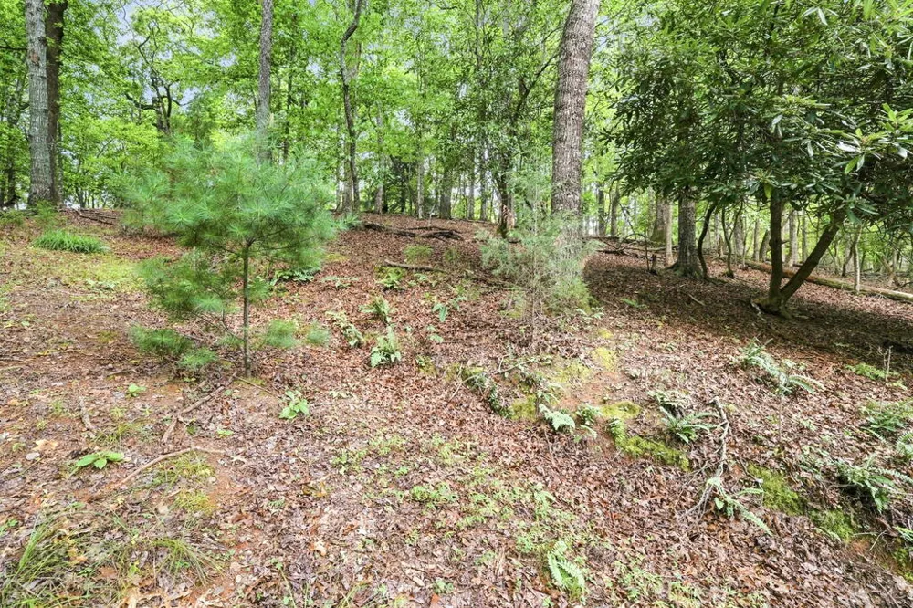 Willow Wind Heights Franklin, NC 28734