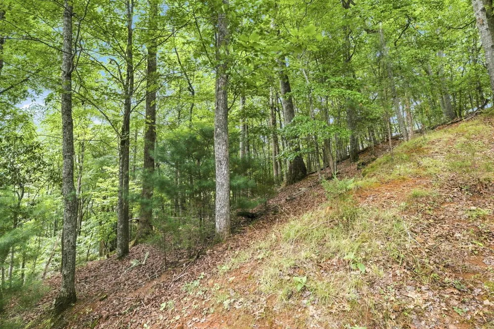 Willow Wind Heights Franklin, NC 28734
