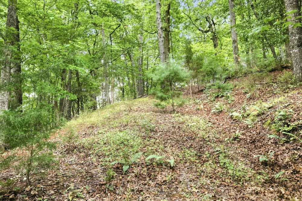 Willow Wind Heights Franklin, NC 28734