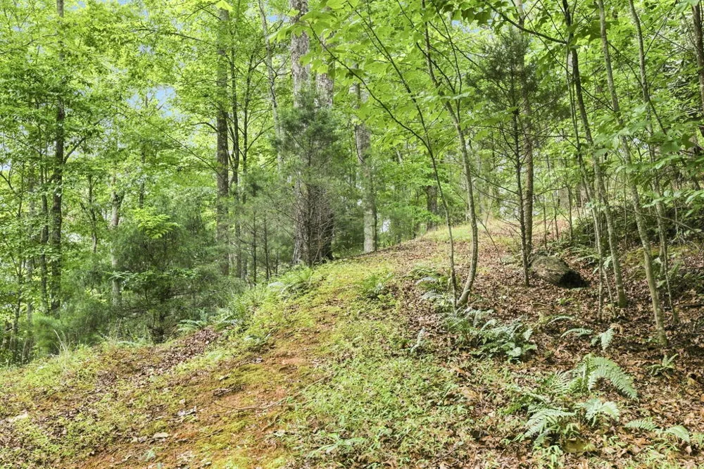 Willow Wind Heights Franklin, NC 28734