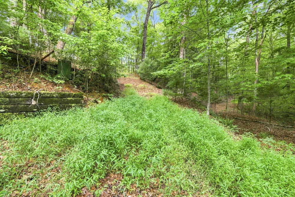 Willow Wind Heights Franklin, NC 28734