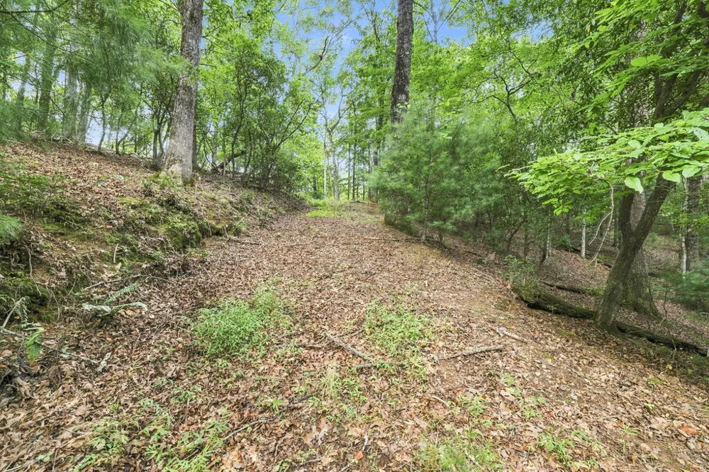 Willow Wind Heights Franklin, NC 28734