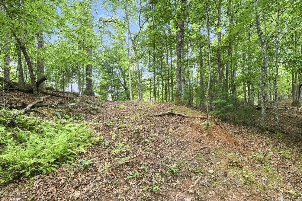Willow Wind Heights Franklin, NC 28734