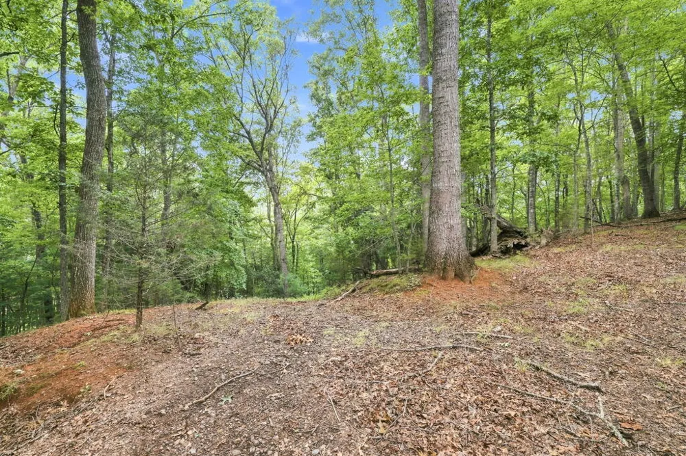 Willow Wind Heights Franklin, NC 28734