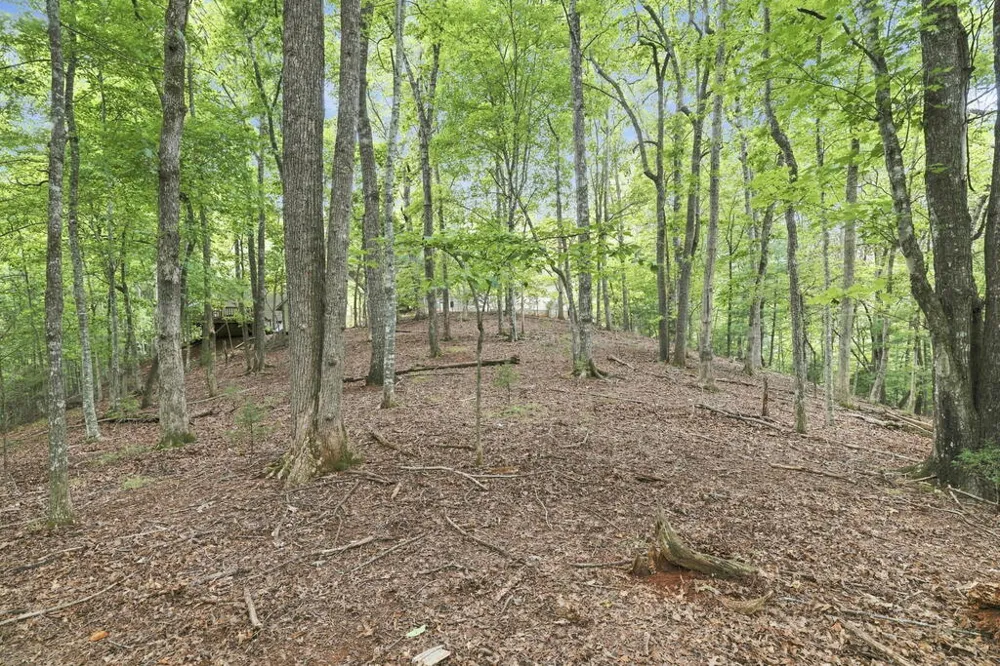 Willow Wind Heights Franklin, NC 28734