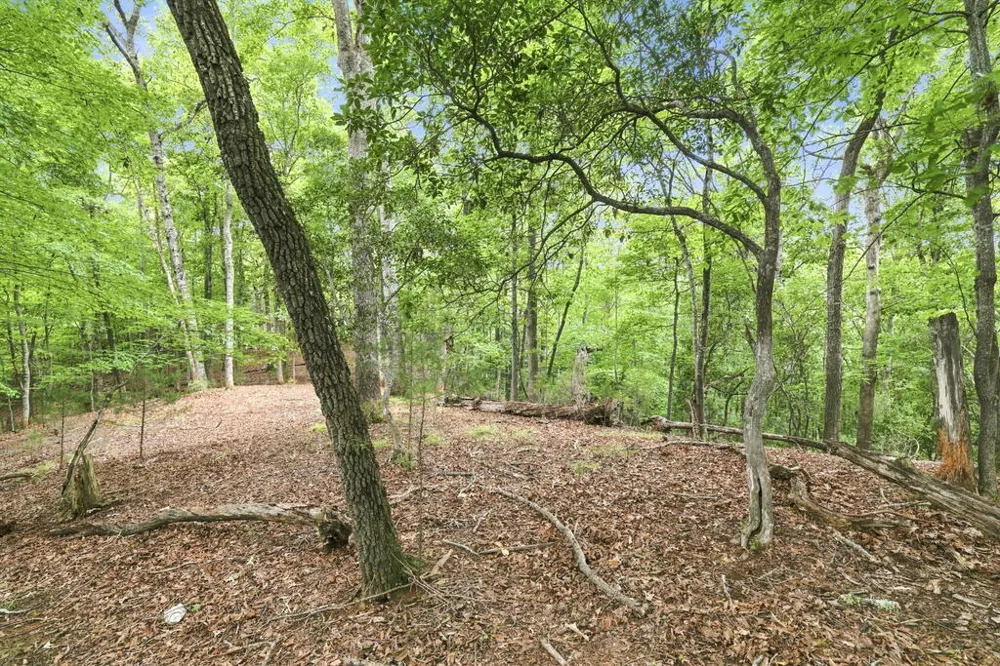 Willow Wind Heights Franklin, NC 28734