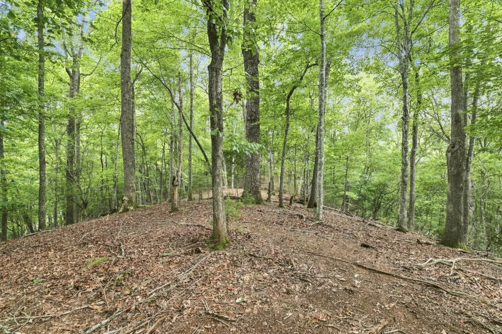 Willow Wind Heights Franklin, NC 28734
