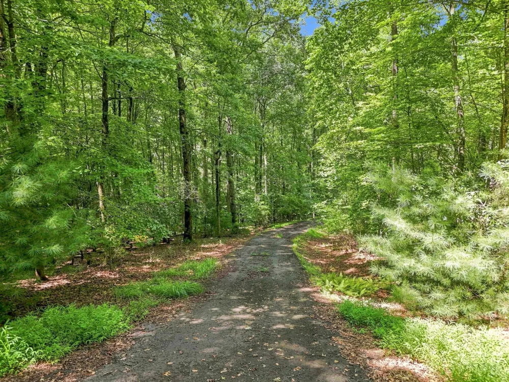 Willow Wind Heights Franklin, NC 28734