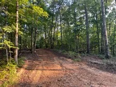 1560 Tulu Rd Michie, TN 38357