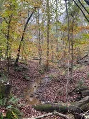 1560 Tulu Rd Michie, TN 38357
