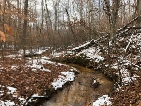 1560 Tulu Rd Michie, TN 38357