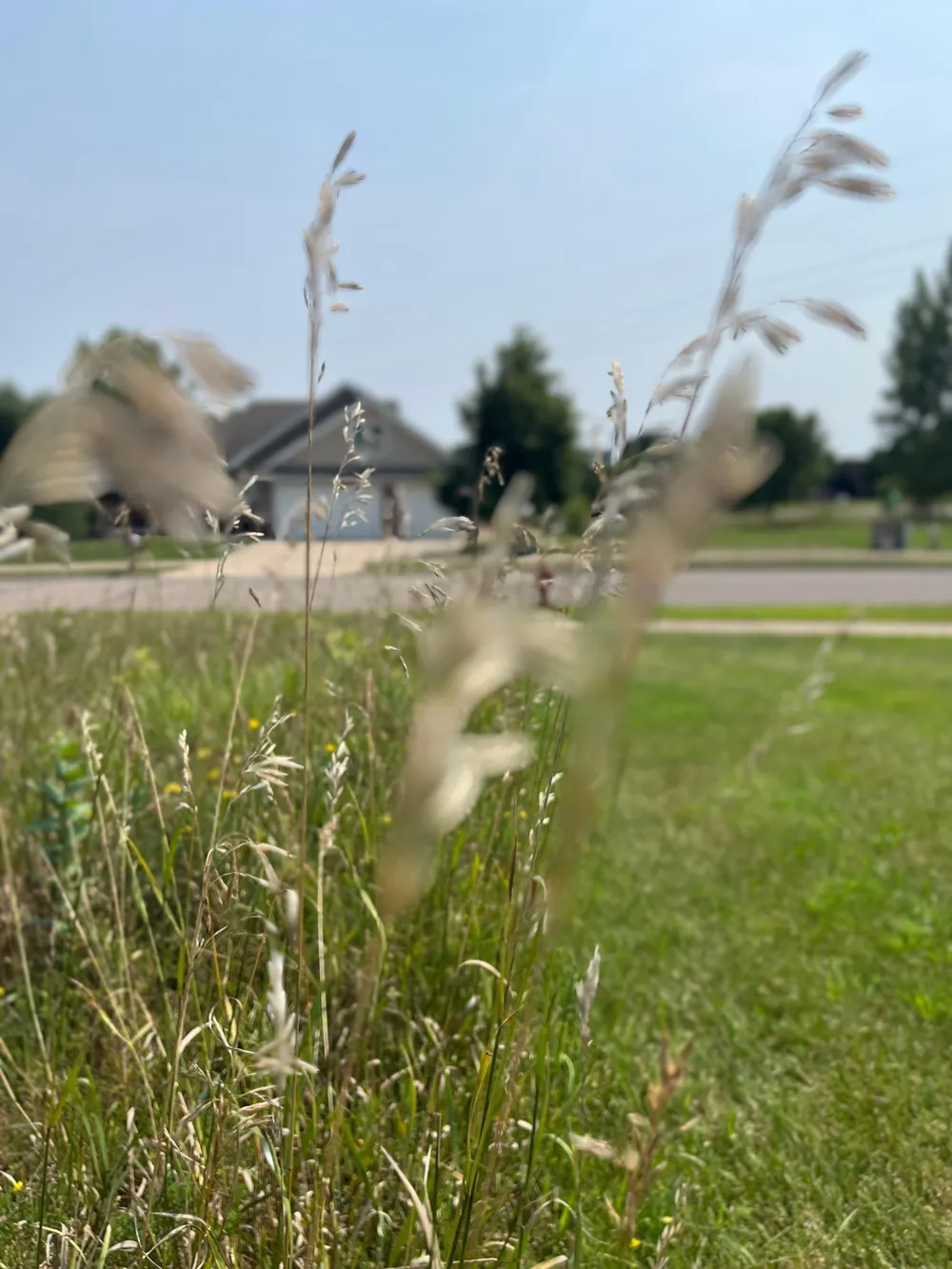 3021 30th Street Court S Saint Cloud, MN 56301
