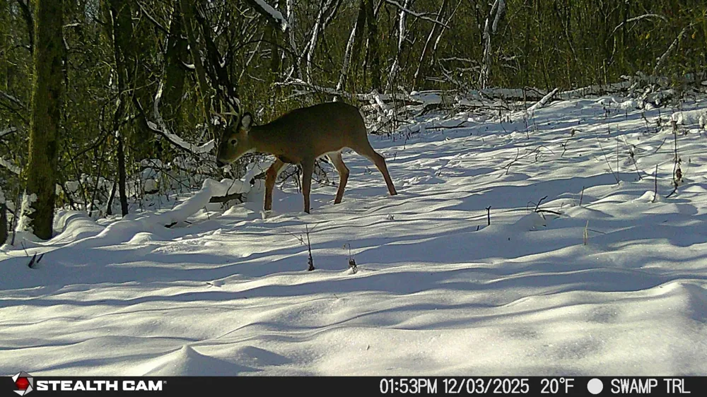 TBD Hidden Lane Greenfield, MN 55357