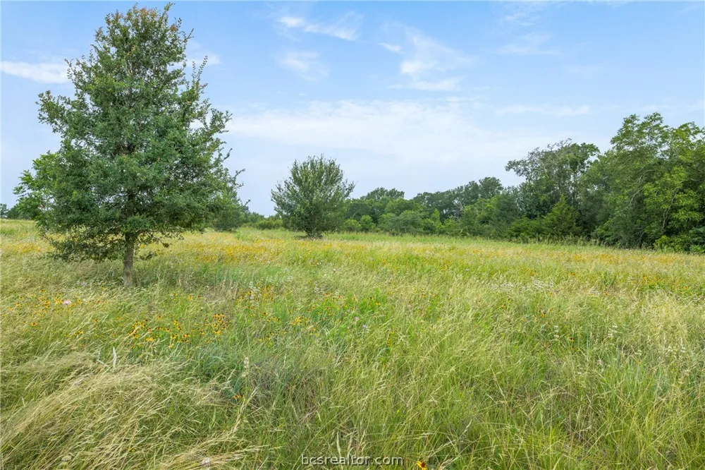 305 County Road 108 Caldwell, TX 77836