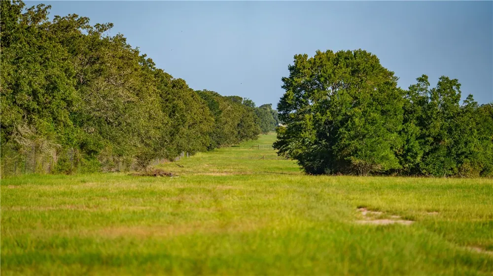 1777 FM 1361 Somerville, TX 77879
