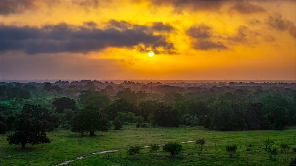 1777 FM 1361 Somerville, TX 77879
