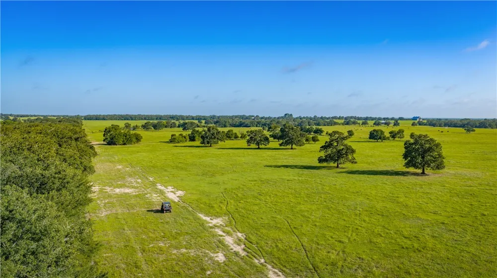 1777 FM 1361 Somerville, TX 77879