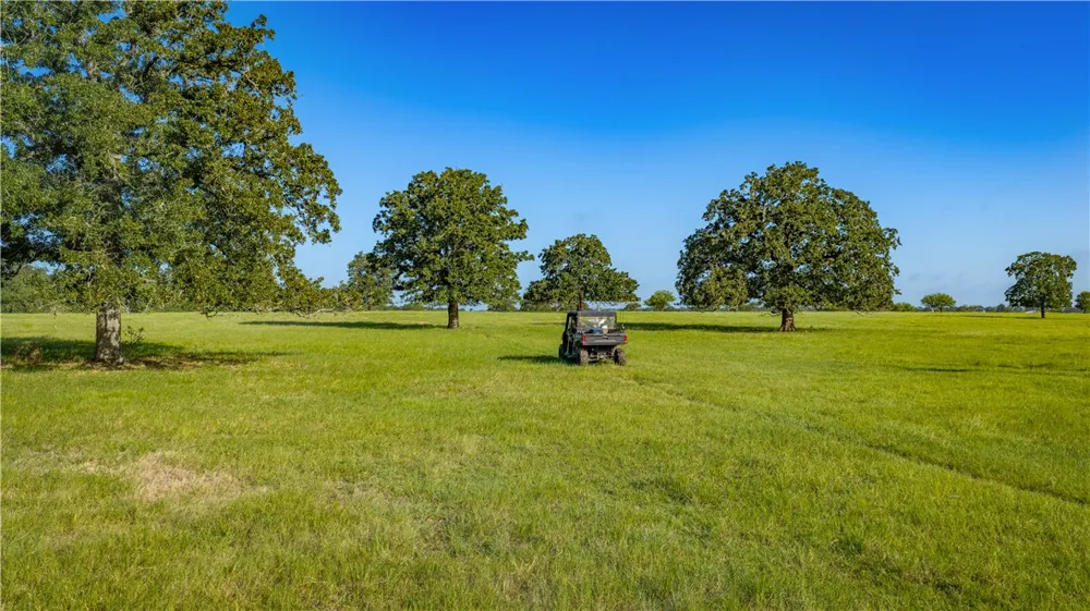1777 FM 1361 Somerville, TX 77879