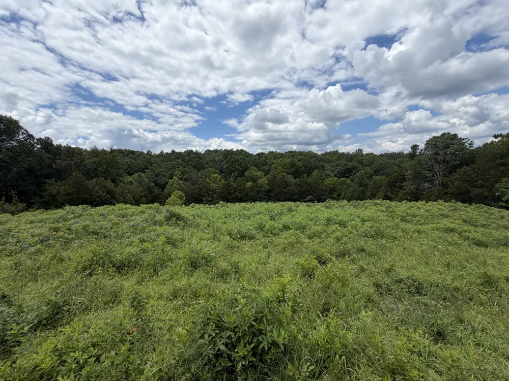 5141 Devers Rd Southside, TN 37171