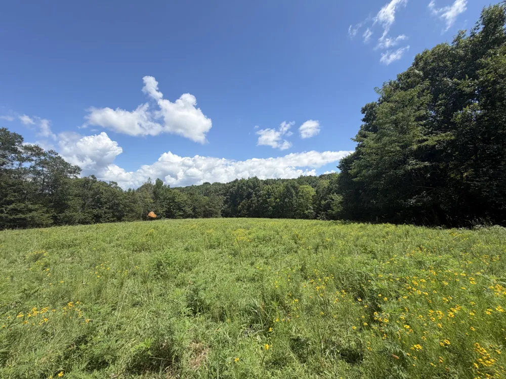 5141 Devers Rd Southside, TN 37171