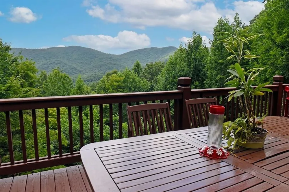 769 Ross Ridge Road Blairsville, GA 30512