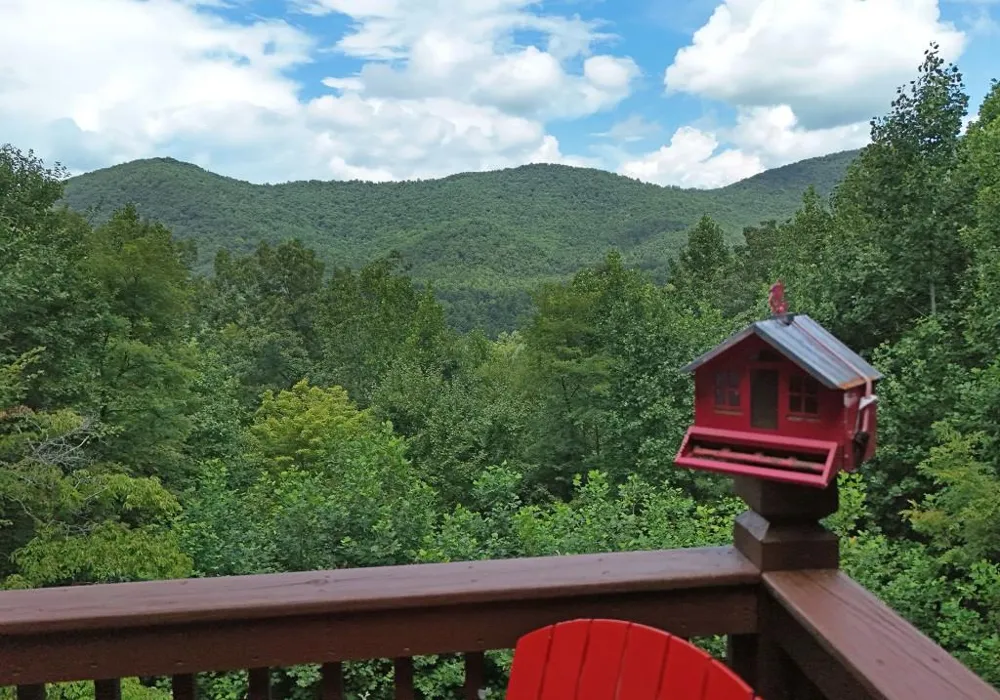 769 Ross Ridge Road Blairsville, GA 30512