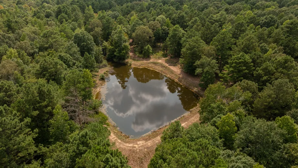 CR 246 S Tyler, TX 75705