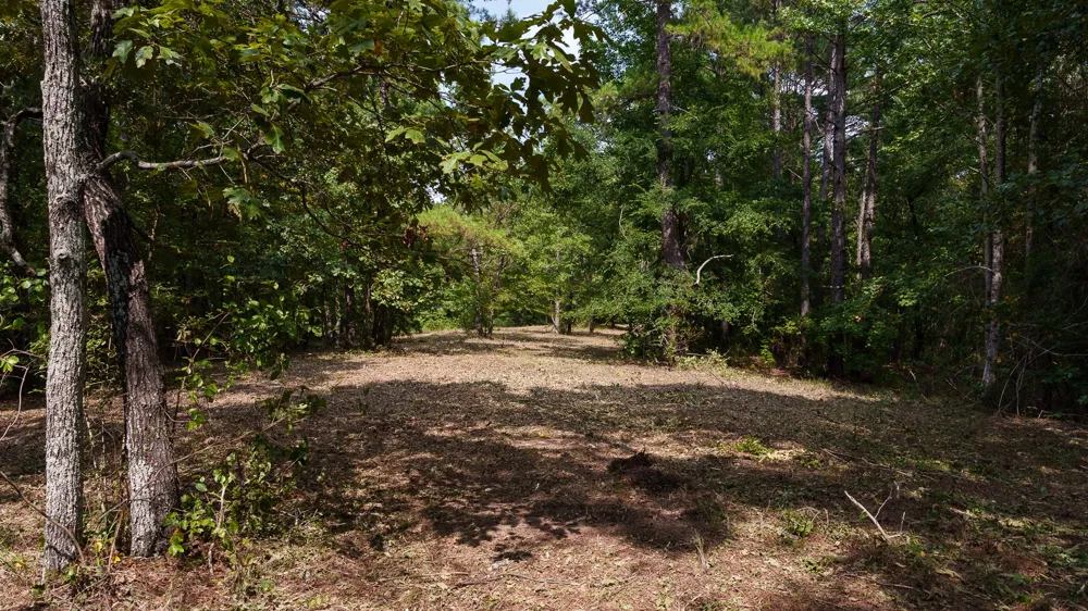 CR 246 S Tyler, TX 75705