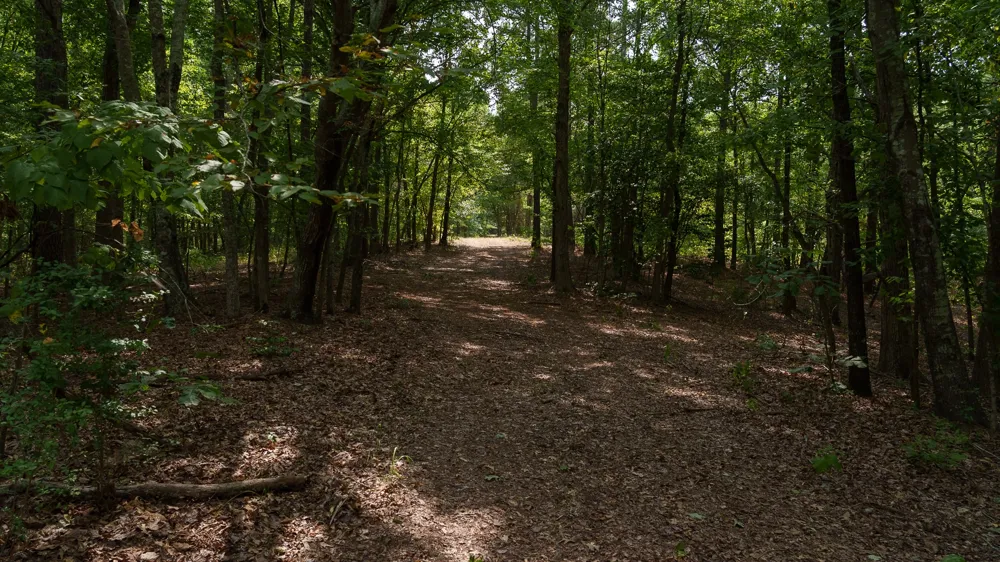 CR 246 S Tyler, TX 75705
