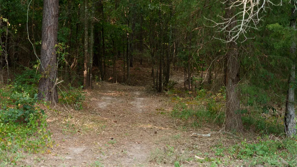 CR 246 S Tyler, TX 75705