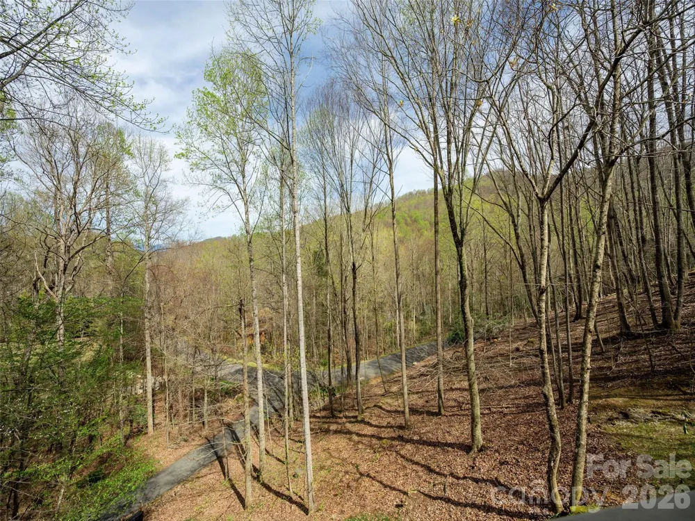 417 Blue Mist Way Arden, NC 28704