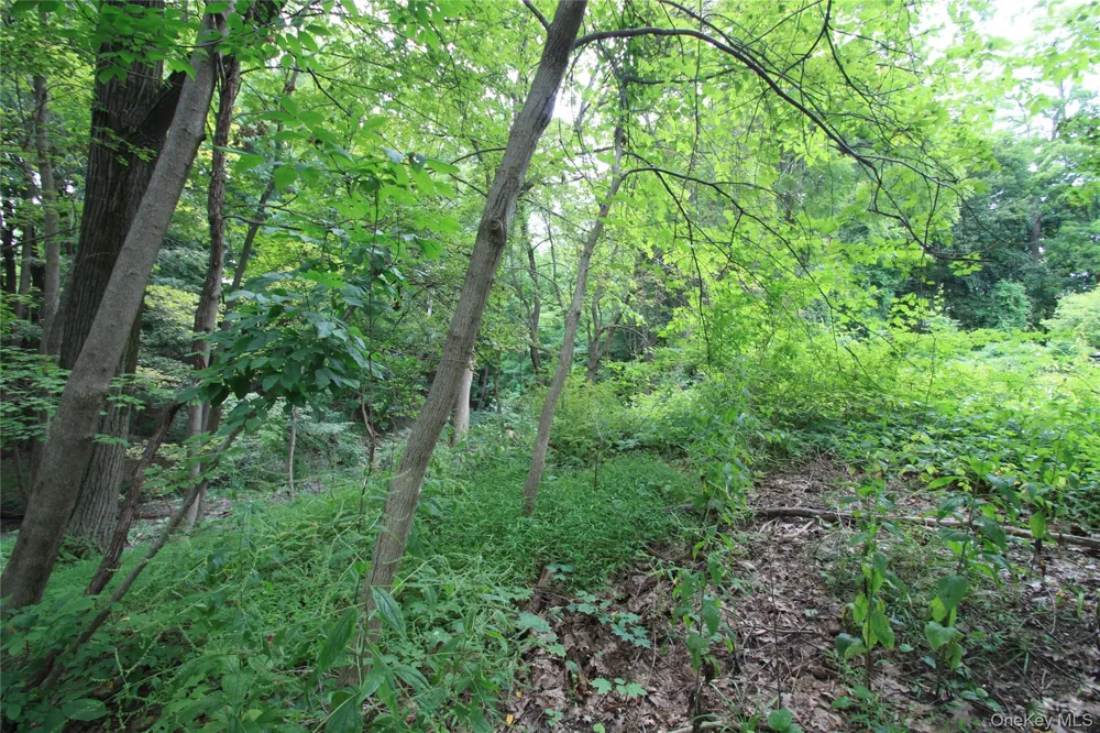 31-33 Spring Street Hudson, NY 12534