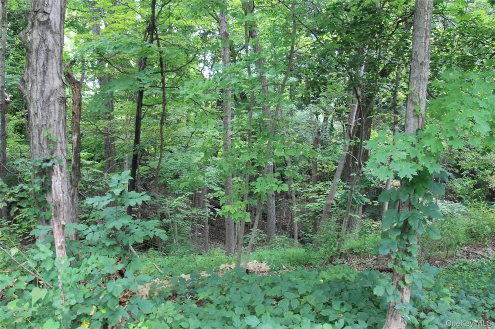31-33 Spring Street Hudson, NY 12534