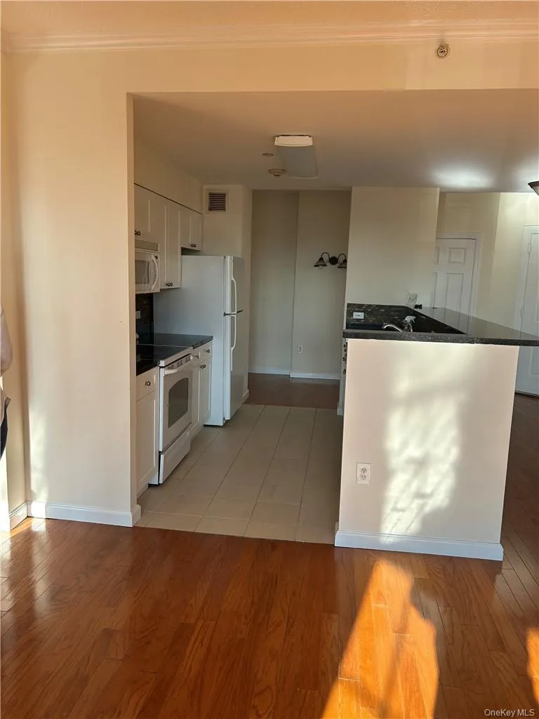 300 Mamaroneck Avenue #729 White Plains, NY 10605
