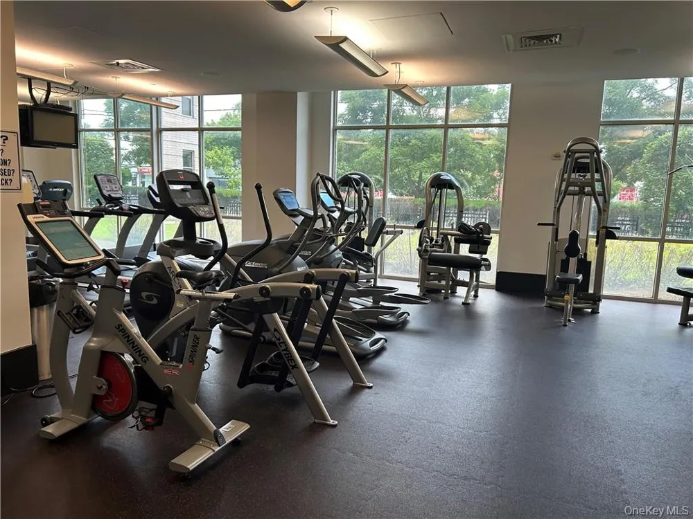 300 Mamaroneck Avenue #729 White Plains, NY 10605