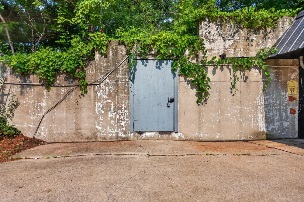 1166 Long Road Pierson Township, MI 49339