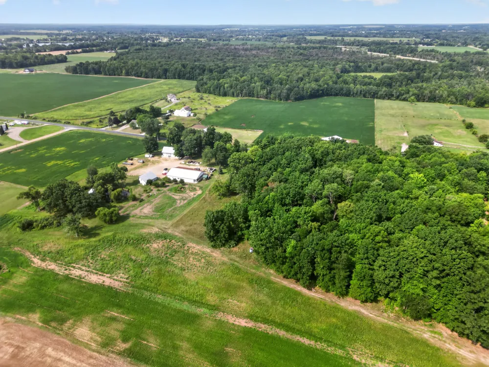 1166 Long Road Pierson Township, MI 49339