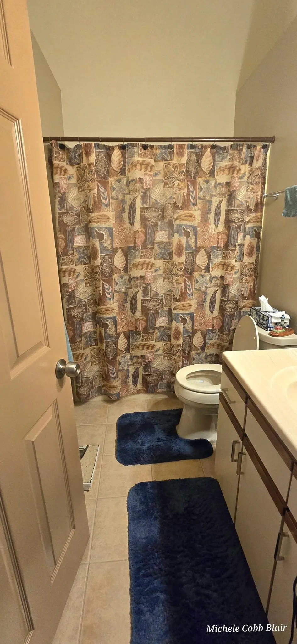6282 Squire Lake Drive Flushing Charter Township, MI 48433