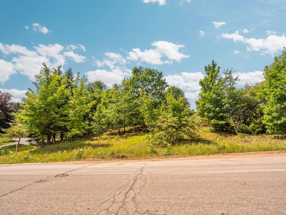 13596 S High Point Drive Elmwood Charter Township, MI 49684