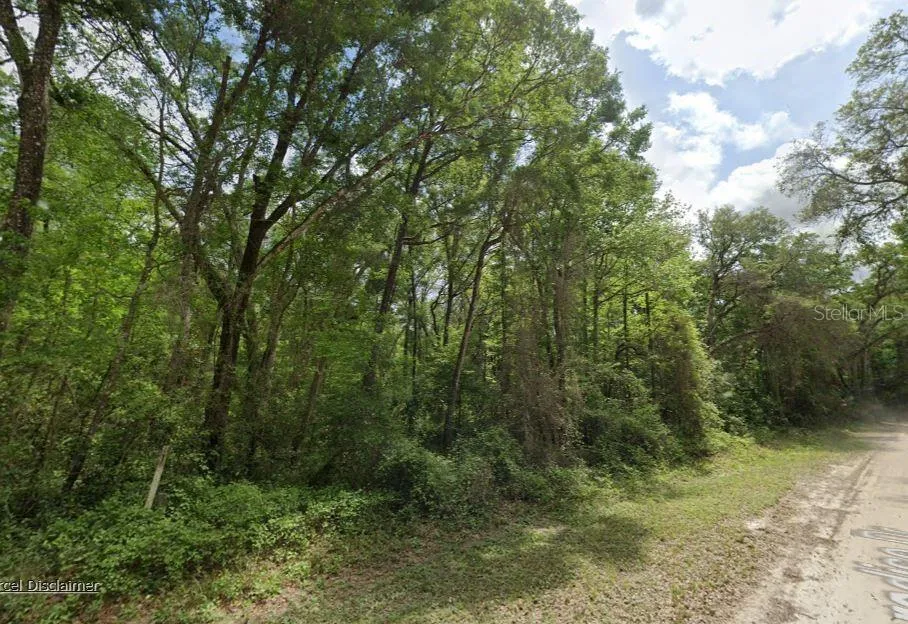 NE 644TH AVE Old Town, FL 32680