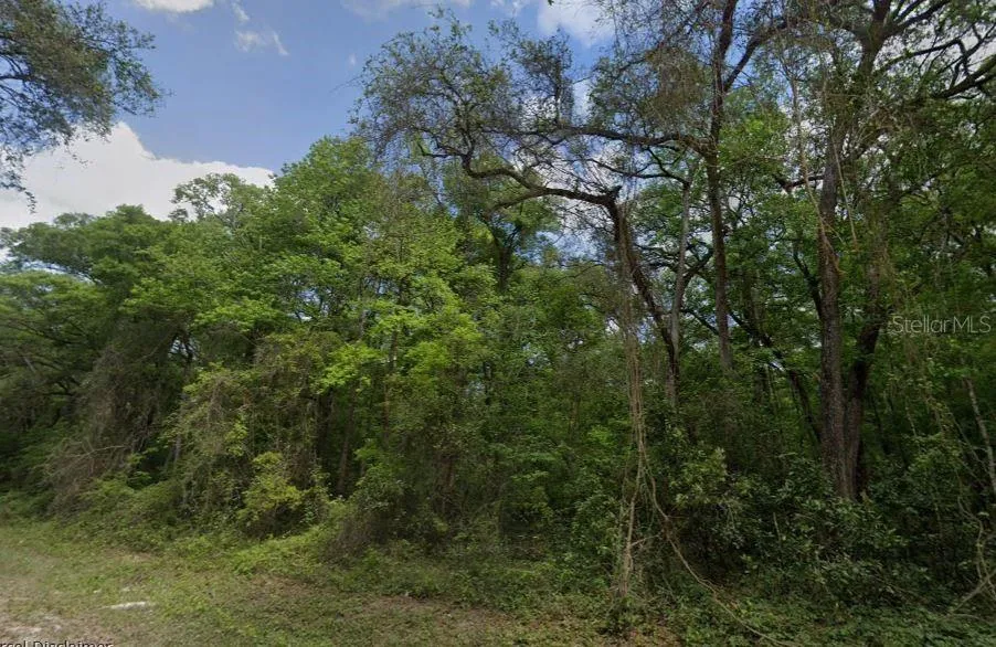 NE 644TH AVE Old Town, FL 32680