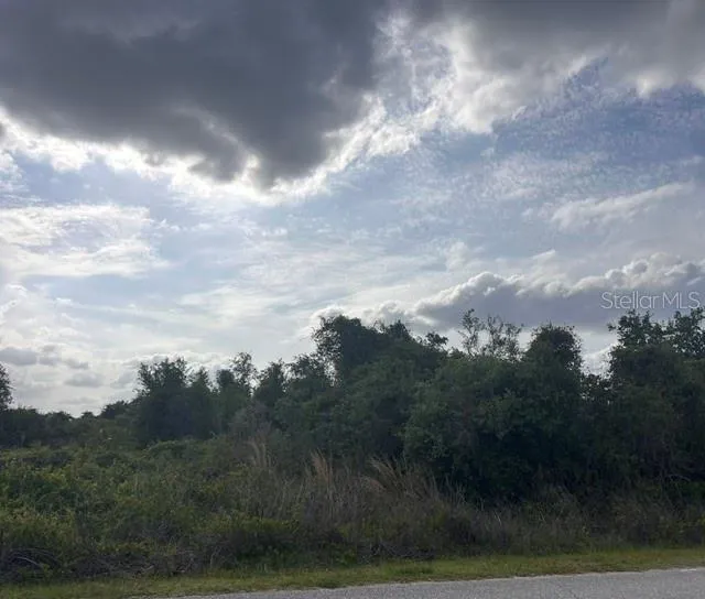 8395 SW AVIARY ROAD Arcadia, FL 34269