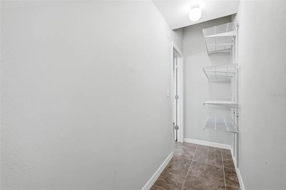 13105 CANOPY CREEK DRIVE Tampa, FL 33625