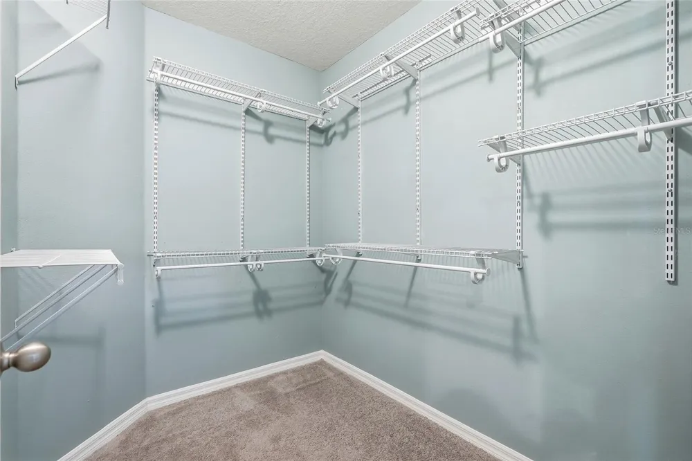 13105 CANOPY CREEK DRIVE Tampa, FL 33625