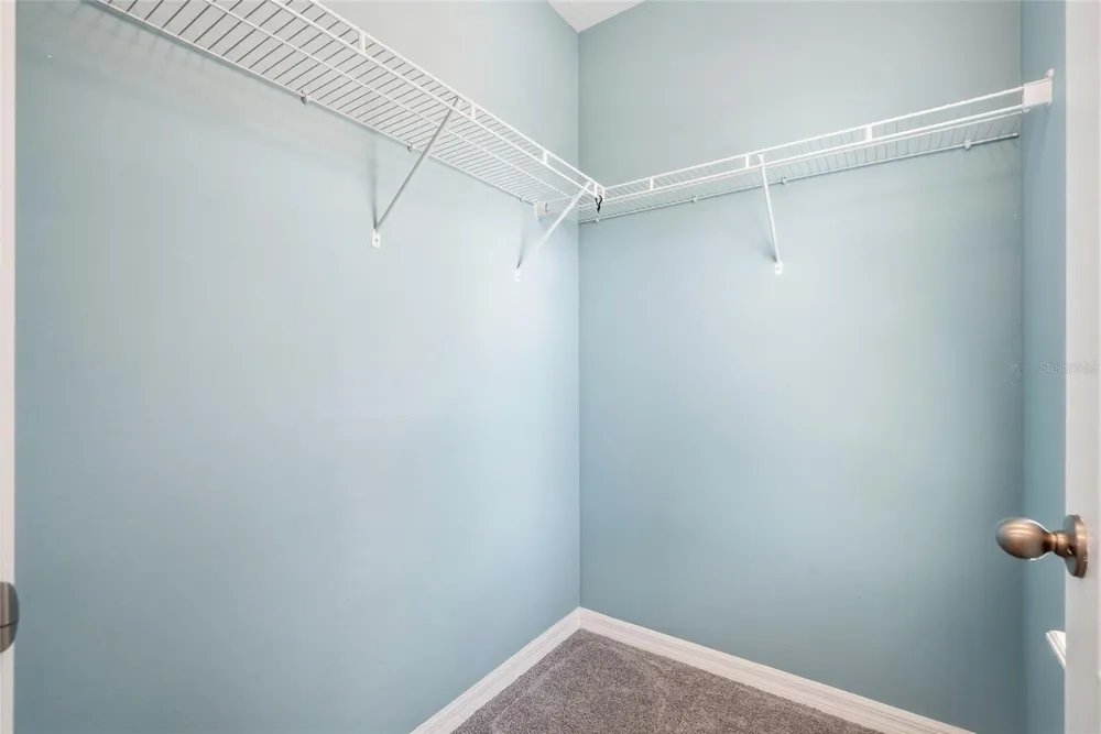 13105 CANOPY CREEK DRIVE Tampa, FL 33625